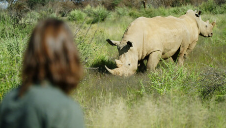 Dierendokter in het wild